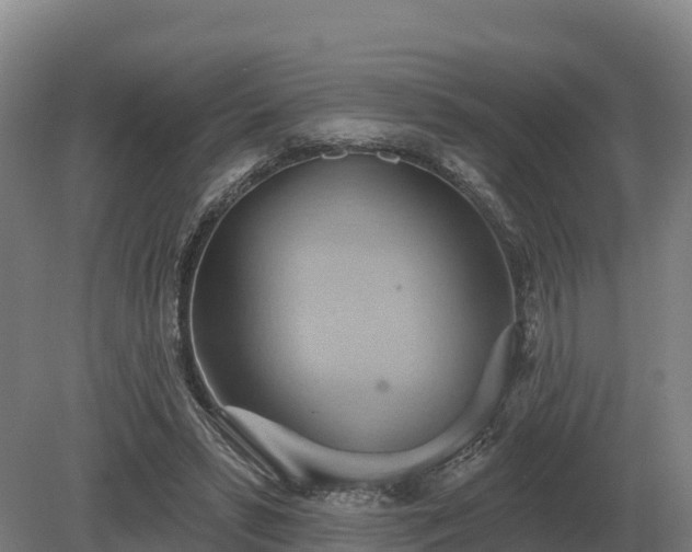 X0000081300399200701181841