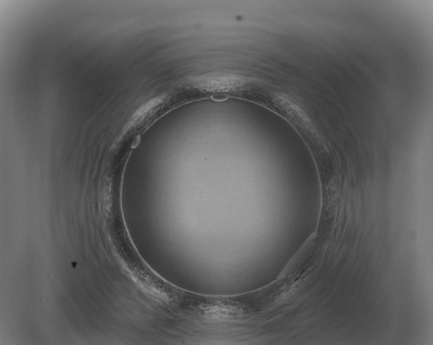 X0000081300400200701181841