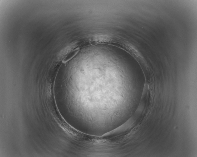 X0000081300401200701181840