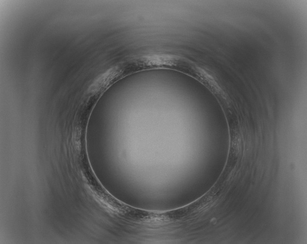 X0000081300402200701181840