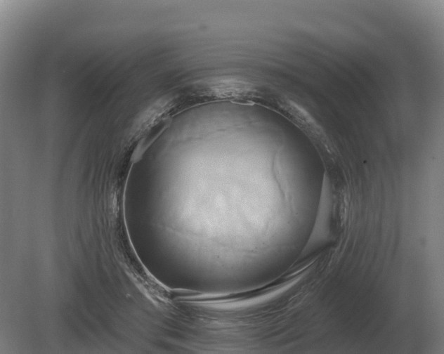 X0000081300405200701181840