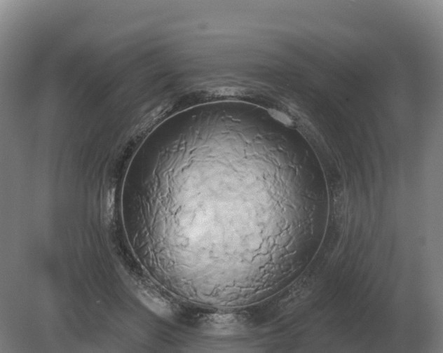 X0000081300406200701181840