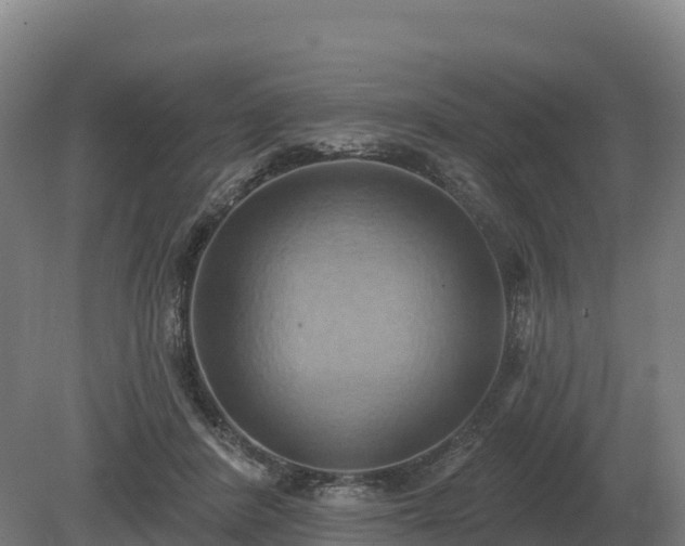 X0000081300408200701181840