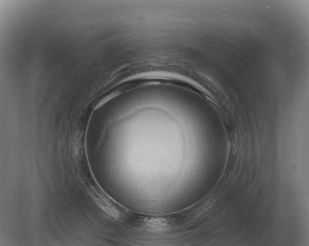 X0000081300409200701181840