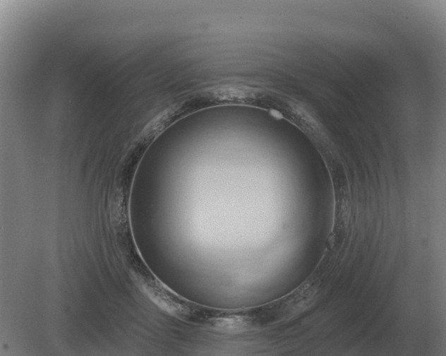 X0000081300411200701181840