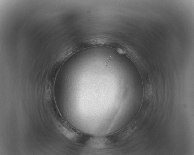 X0000081300414200701181840