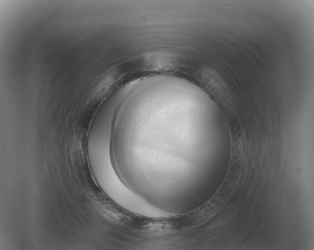 X0000081300415200701181840