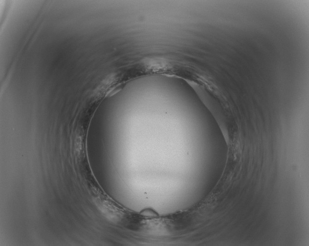 X0000081300417200701181840