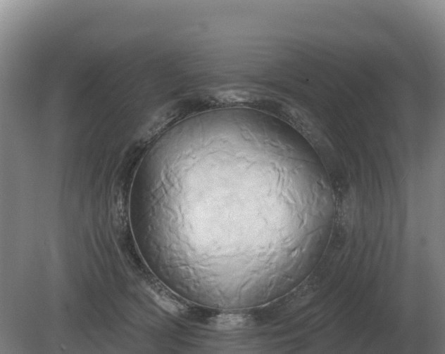 X0000081300418200701181840