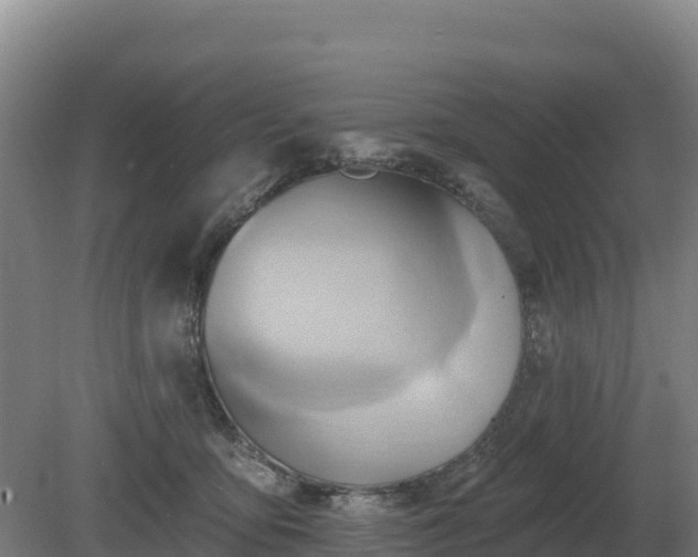 X0000081300419200701181840