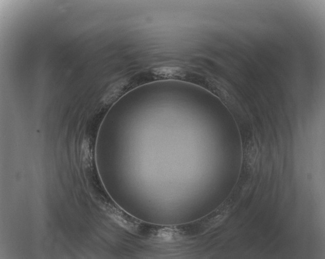 X0000081300420200701181840