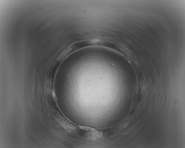 X0000081300421200701181840