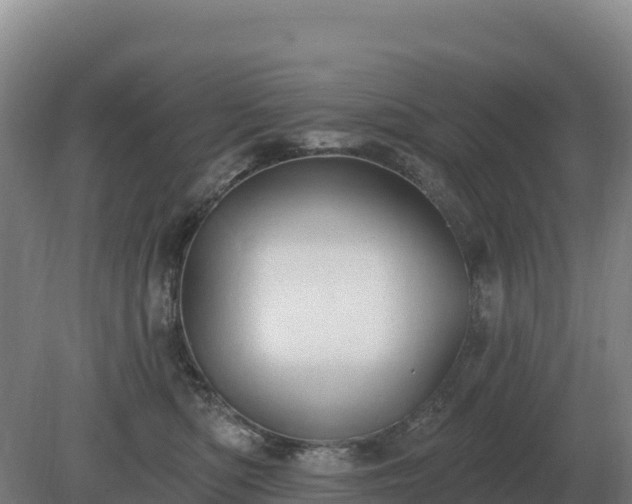 X0000081300422200701181840