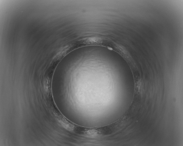 X0000081300423200701181840