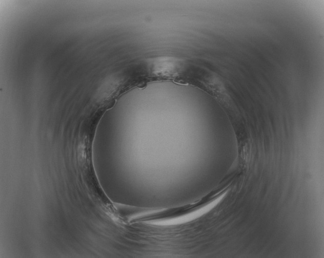 X0000081300424200701181840