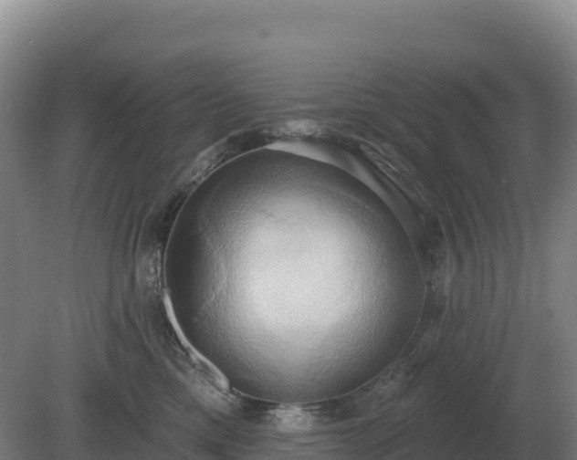 X0000081300425200701181840