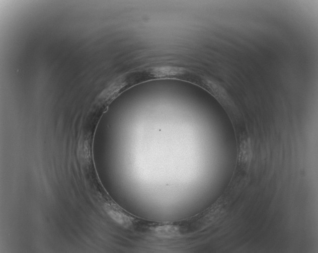 X0000081300426200701181840