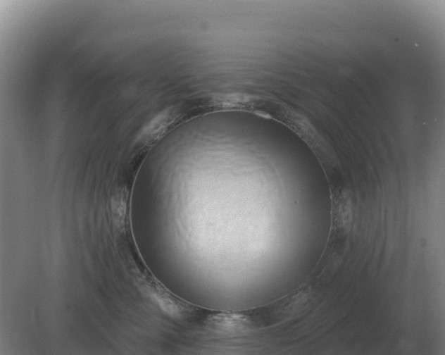 X0000081300427200701181840