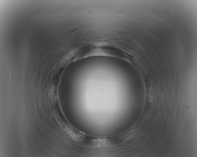 X0000081300428200701181840