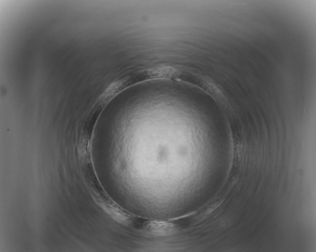 X0000081300429200701181840