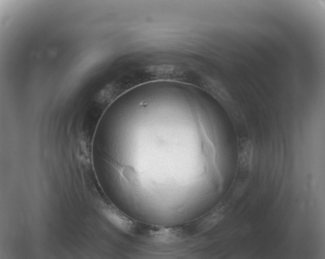 X0000081300430200701181840