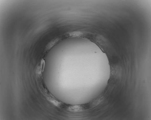 X0000081300431200701181840