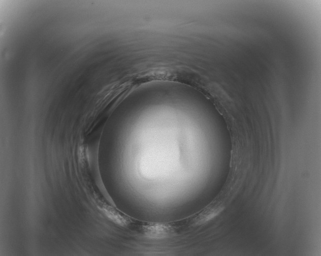 X0000081300432200701181840