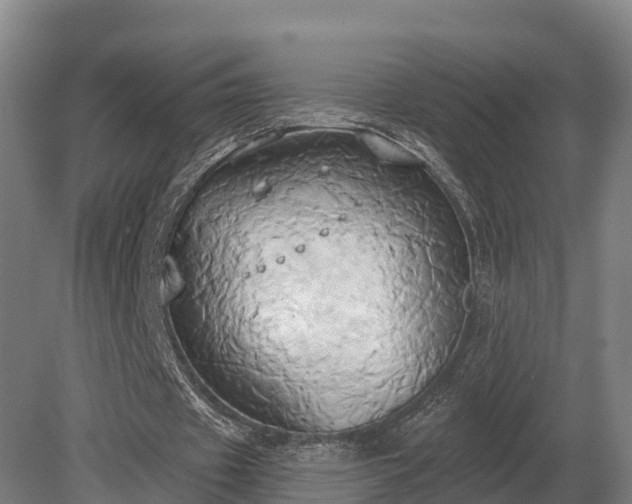 X0000081300433200701181839