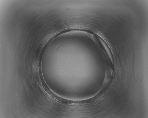 X0000081300434200701181839