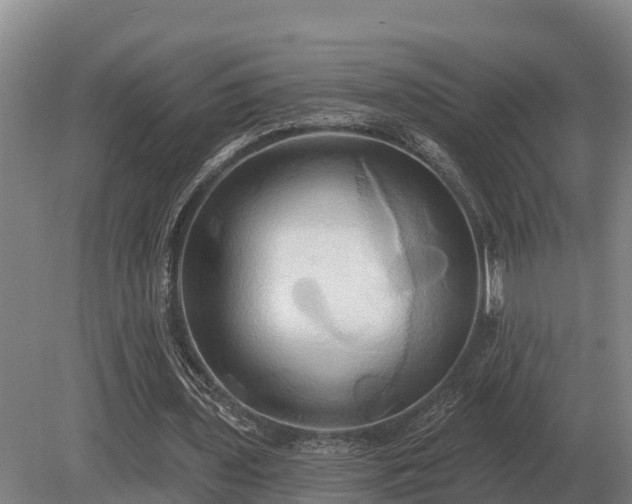 X0000081300435200701181839