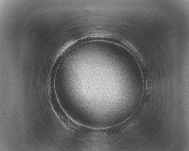 X0000081300436200701181839