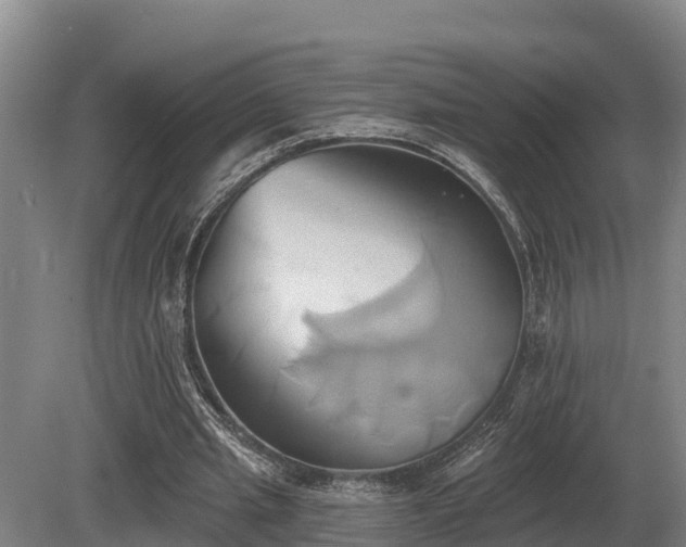 X0000081300437200701181839