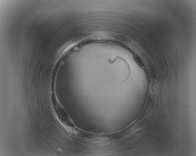 X0000081300438200701181839