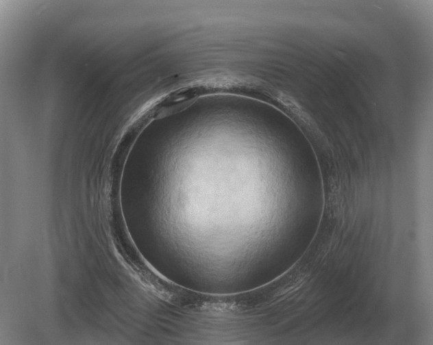 X0000081300440200701181839