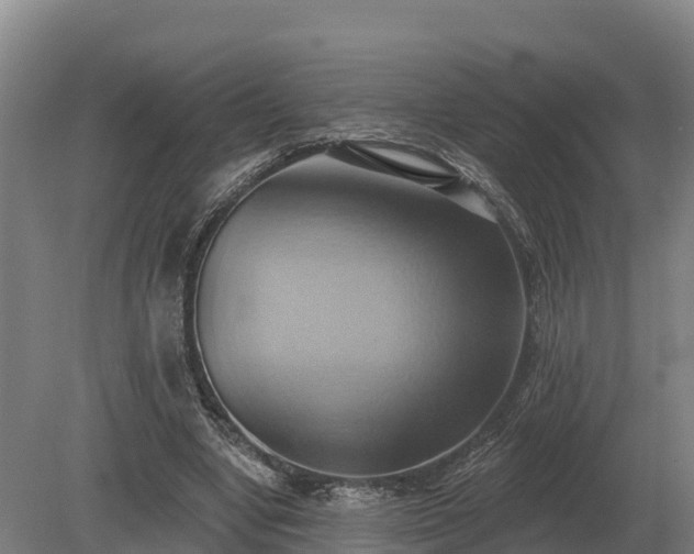 X0000081300442200701181839