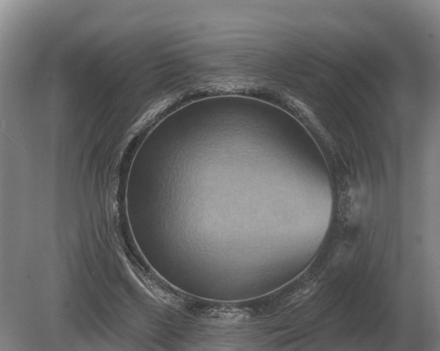 X0000081300443200701181839