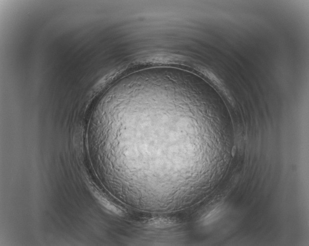 X0000081300445200701181839