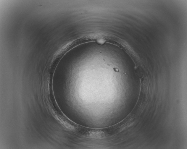 X0000081300446200701181839