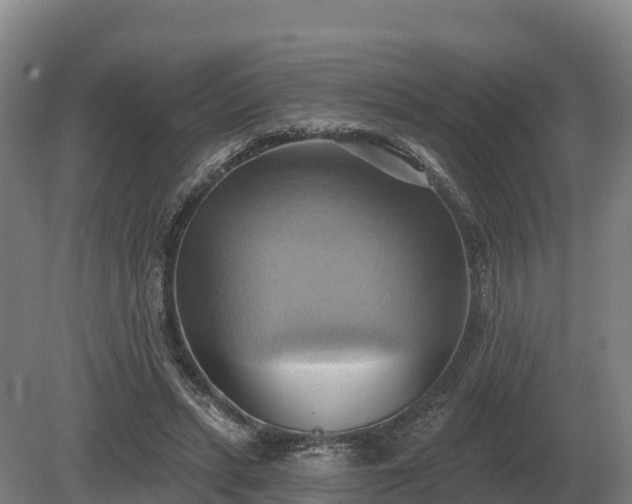 X0000081300447200701181839