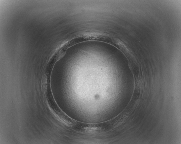 X0000081300448200701181839