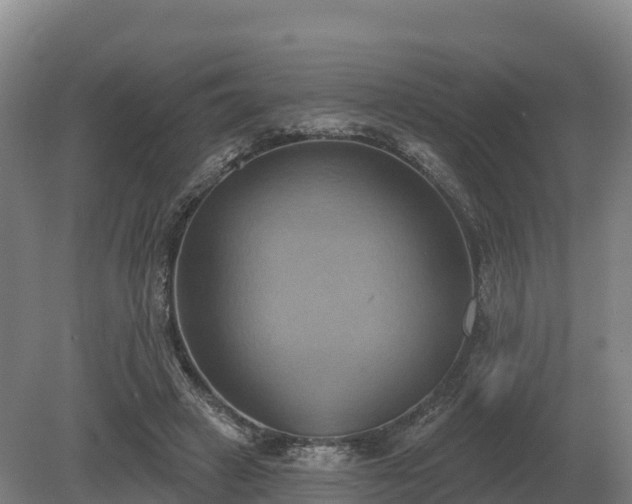 X0000081300449200701181839