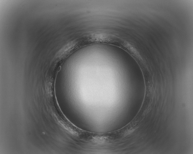 X0000081300450200701181839