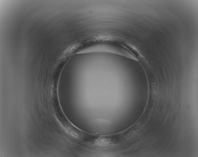 X0000081300451200701181839