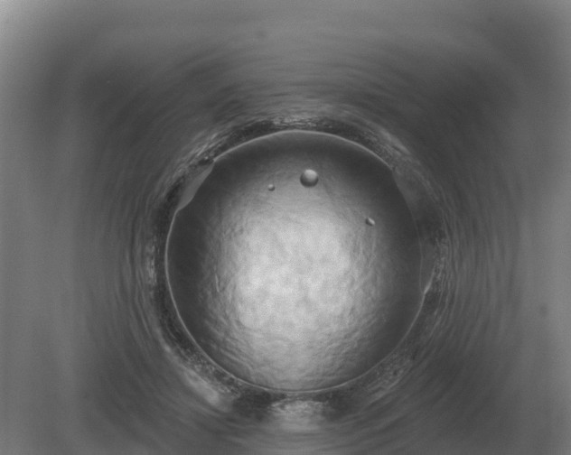 X0000081300452200701181839