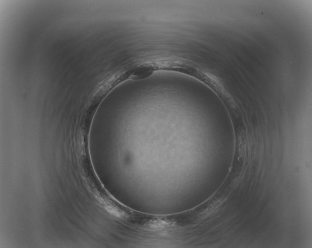 X0000081300453200701181839