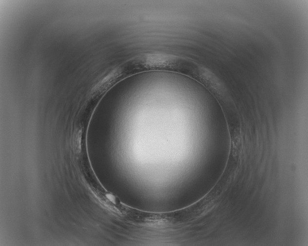 X0000081300454200701181840