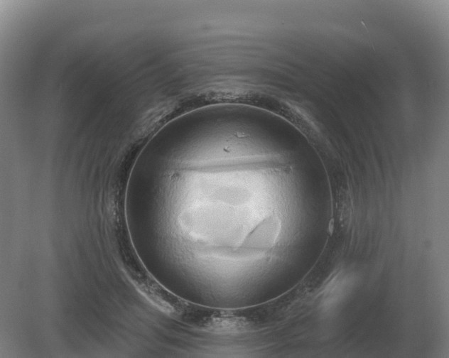 X0000081300455200701181840