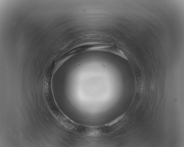 X0000081300456200701181840