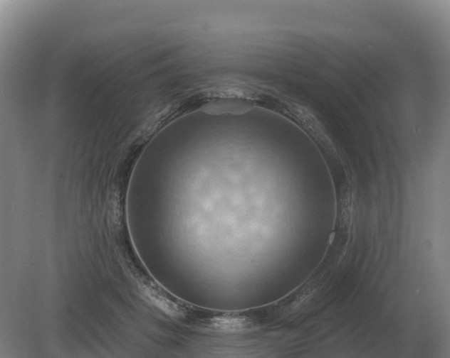 X0000081300457200701181840