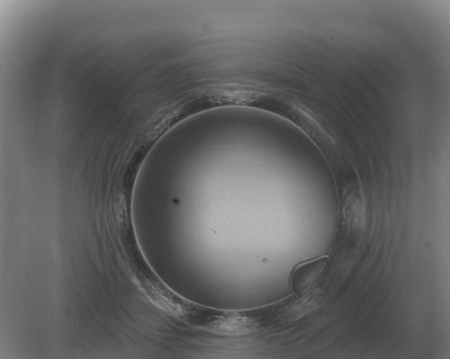 X0000081300459200701181840